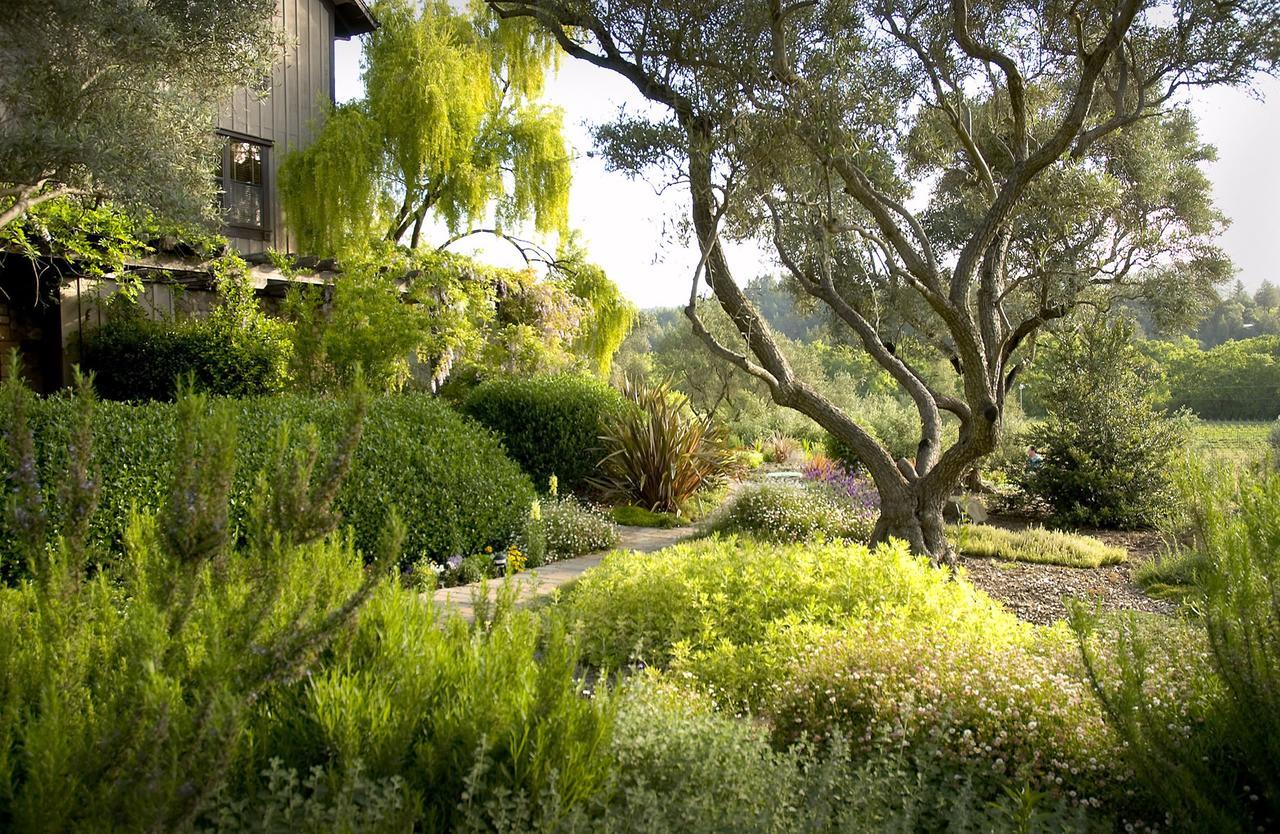 Wine Country Inn Napa Valley St. Helena Exteriér fotografie