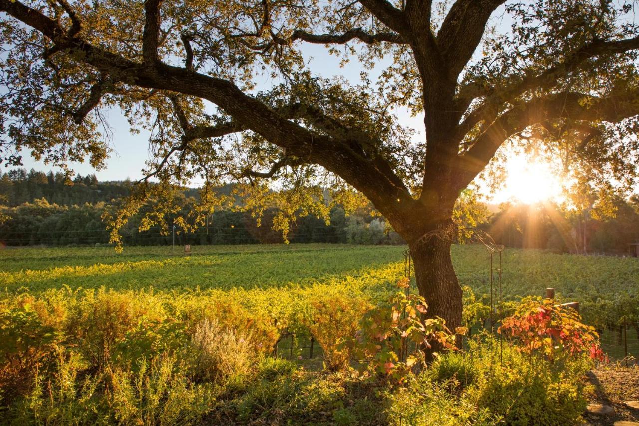 Wine Country Inn Napa Valley St. Helena Exteriér fotografie